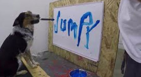 اخبار,اخبار گوناگون,خبر داغ,سگ