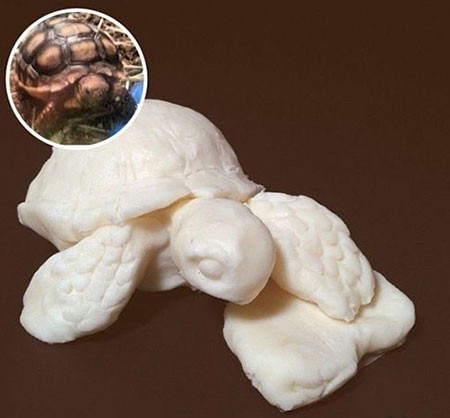 اخبار,اخبار گوناگون,مجسمه های خوشمزه و خاص