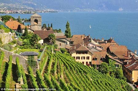 اخبار , اخبار گوناگون,دریاچه ژنو سوئیس,تصاویر دریاچه ژنو سوئیس اخبار , اخبار گوناگون,دریاچه ژنو سوئیس,تصاویر دریاچه ژنو سوئیس