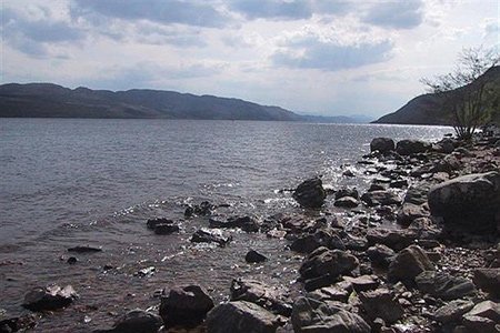 اخبار , اخبار گوناگون,تصاویری از هیولای لخ نس,مارماهی های غول پیکر