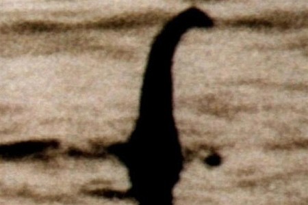 اخبار , اخبار گوناگون,تصاویری از هیولای لخ نس,مارماهی های غول پیکر