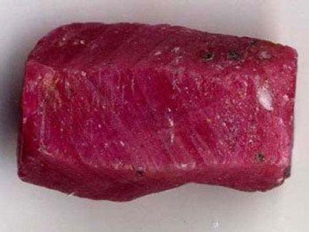 اخبار , اخبار گوناگون,چیزهای گران تر از طلا,گران تر از طلا اخبار , اخبار گوناگون,چیزهای گران تر از طلا,گران تر از طلا