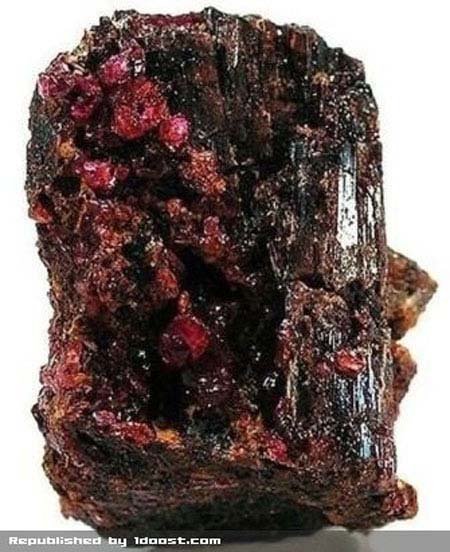 اخبار , اخبار گوناگون,چیزهای گران تر از طلا,گران تر از طلا اخبار , اخبار گوناگون,چیزهای گران تر از طلا,گران تر از طلا