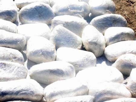 اخبار , اخبار گوناگون,چیزهای گران تر از طلا,گران تر از طلا اخبار , اخبار گوناگون,چیزهای گران تر از طلا,گران تر از طلا