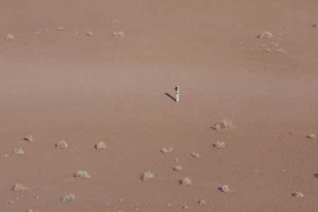 زیبایی خشک و خشن نامیبیا زیبایی خشک و خشن نامیبیا