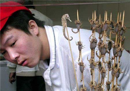 کباب عقرب برای جذب گردشگر کباب عقرب برای جذب گردشگر