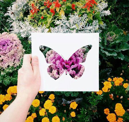 اخبار,اخبار گوناگون,نقاشی‌