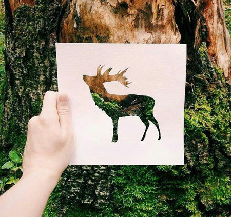 اخبار,اخبار گوناگون,نقاشی‌