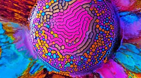 اخبار,اخبار گوناگون,رنگ