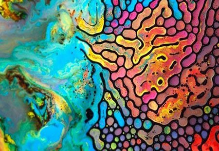 اخبار,اخبار گوناگون,رنگ