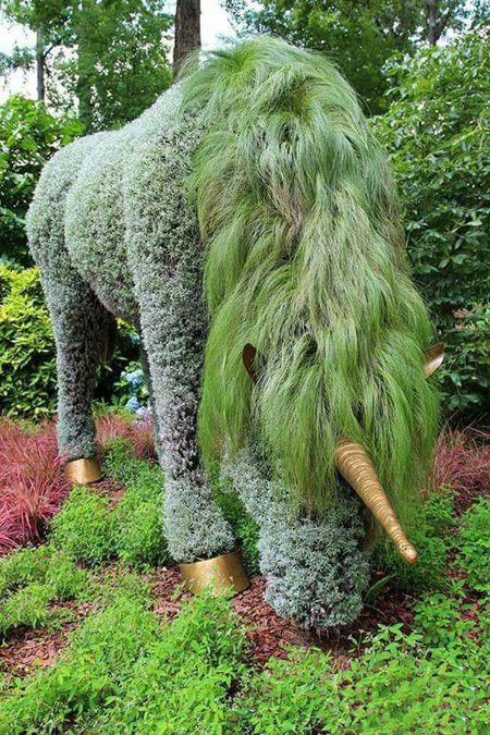 اخبار,اخبار گوناگون,درخت