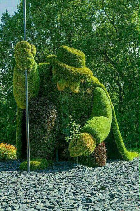 اخبار,اخبار گوناگون,درخت