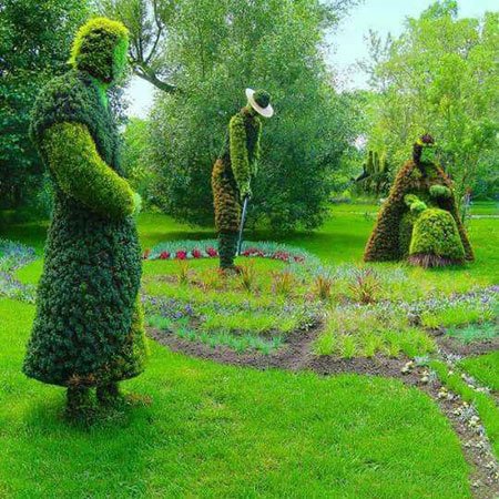 اخبار,اخبار گوناگون,درخت