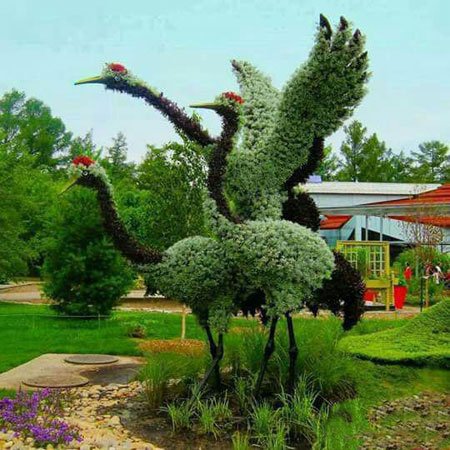 اخبار,اخبار گوناگون,درخت