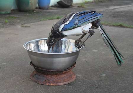 اخبار,اخبار گوناگون,مجسمه سازی