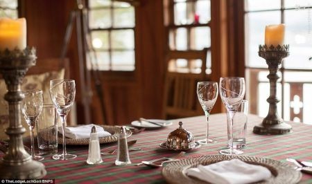 اخبار گوناگون,خبر های گوناگون,خانه درختی