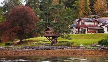 اخبار گوناگون,خبر های گوناگون,خانه درختی