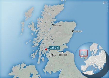 اخبار گوناگون,خبر های گوناگون,خانه درختی