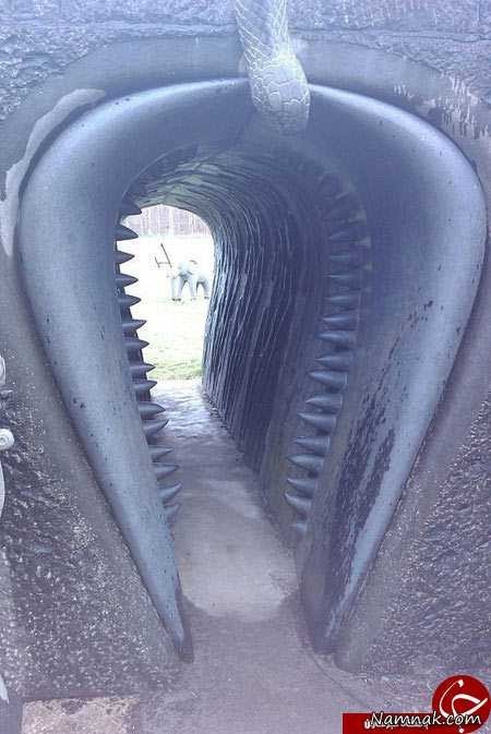 اخبار گوناگون,خبر های گوناگون,پارک ویکتوریا