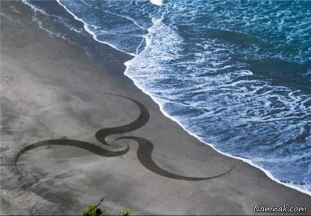 اخبار گوناگون,خبر های گوناگون,شن