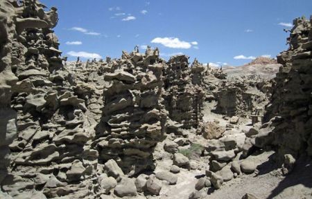 اخبار گوناگون,خبر های گوناگون,دره