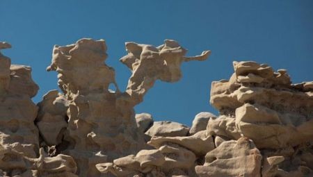 اخبار گوناگون,خبر های گوناگون,دره