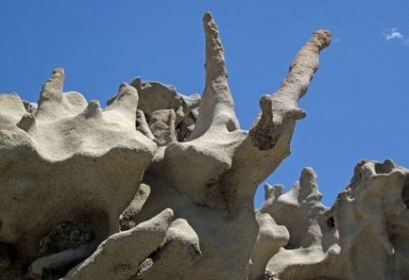 اخبار گوناگون,خبر های گوناگون,دره