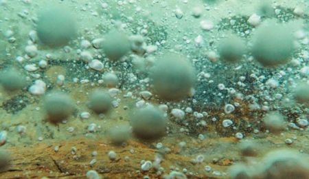 اخبار گوناگون,خبر های گوناگون,آب جوش