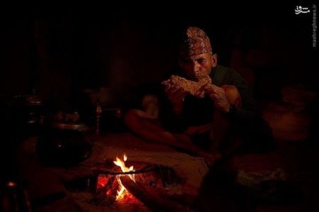 اخبارگوناگون,خبرهای گوناگون,شکارچیان عسل