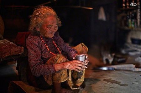 اخبارگوناگون,خبرهای گوناگون,شکارچیان عسل