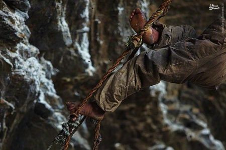 اخبارگوناگون,خبرهای گوناگون,شکارچیان عسل