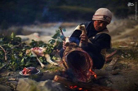 اخبارگوناگون,خبرهای گوناگون,شکارچیان عسل