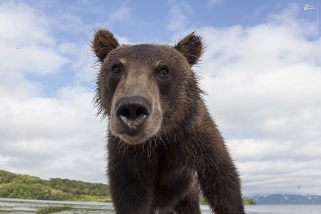 اخبارگوناگون,خبرهای گوناگون,عکاسی