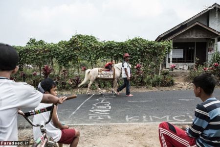 اخبارگوناگون,خبرهای گوناگون,کتاب خانه سیار