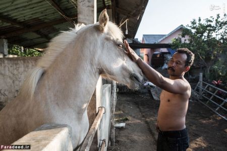 اخبارگوناگون,خبرهای گوناگون,کتاب خانه سیار