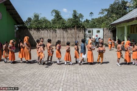 اخبارگوناگون,خبرهای گوناگون,کتاب خانه سیار