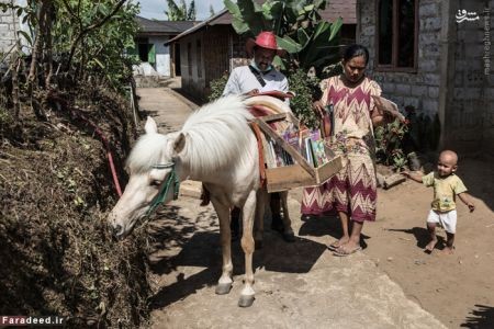 اخبارگوناگون,خبرهای گوناگون,کتاب خانه سیار