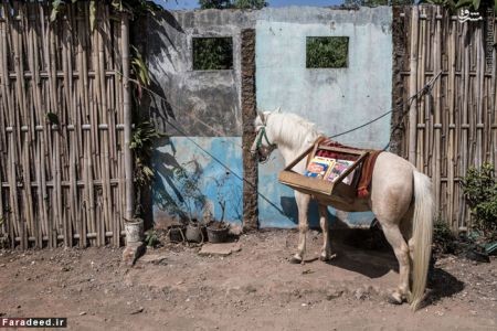 اخبارگوناگون,خبرهای گوناگون,کتاب خانه سیار