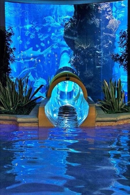 اخبارگوناگون,خبرهای گوناگون,دنیای زیبا