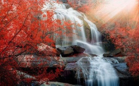 اخبارگوناگون,خبرهای گوناگون,دنیای زیبا