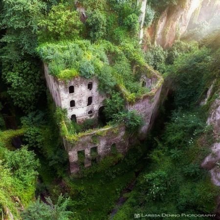 اخبارگوناگون,خبرهای گوناگون,دنیای زیبا