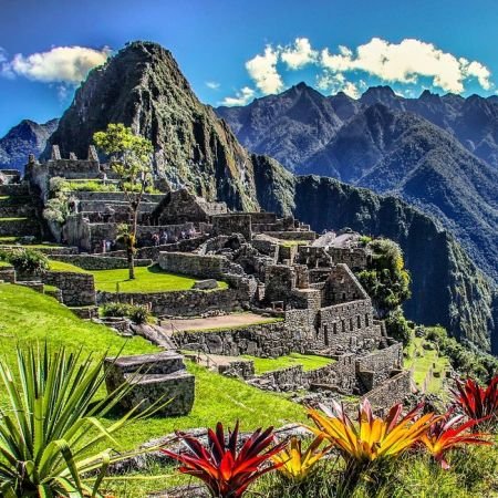 اخبارگوناگون,خبرهای گوناگون,دنیای زیبا