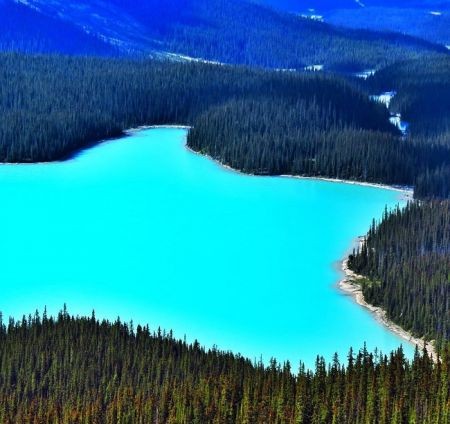 اخبارگوناگون,خبرهای گوناگون,دنیای زیبا