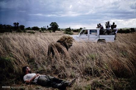 اخبارگوناگون,خبرهای گوناگون,شیر