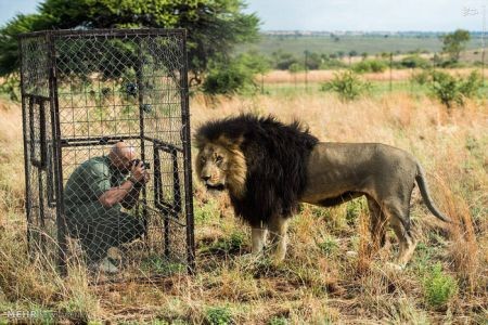اخبارگوناگون,خبرهای گوناگون,شیر