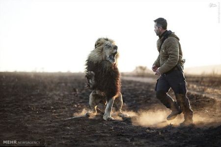 اخبارگوناگون,خبرهای گوناگون,شیر