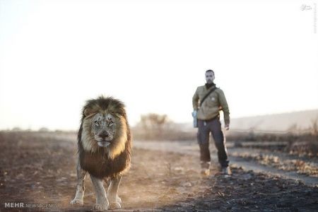 اخبارگوناگون,خبرهای گوناگون,شیر