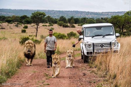 اخبارگوناگون,خبرهای گوناگون,شیر