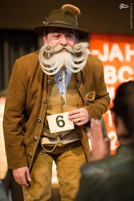 اخبارگوناگون,خبرهای گوناگون,سیبیل