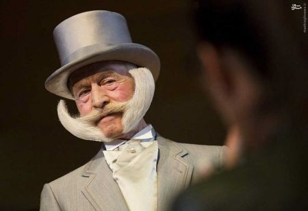 اخبارگوناگون,خبرهای گوناگون,سیبیل